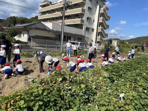 ～地域と共に～ 小学生と芋の植え付け 芋ほり体験