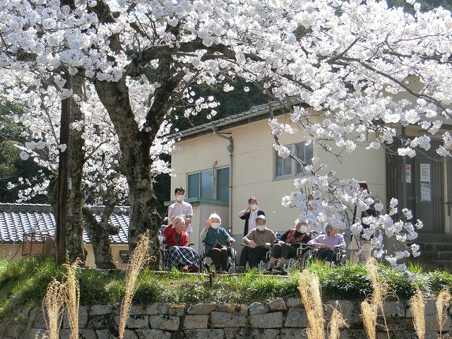 近くの公民館までお散歩。桜がとってもきれいです。