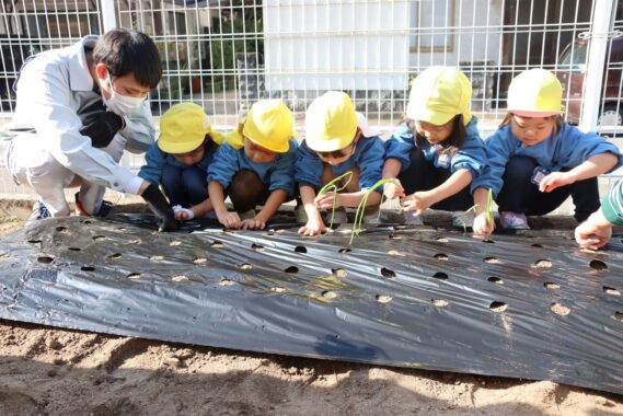 保育所や小学校に出向いて、食農教育を行っています。