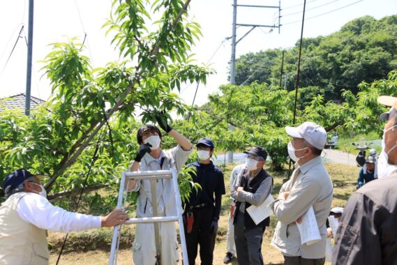 営農指導員が栽培指導を行い、品質の向上に努めています。