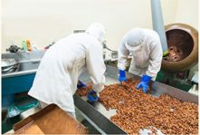 仕事風景（コーティング品製造）